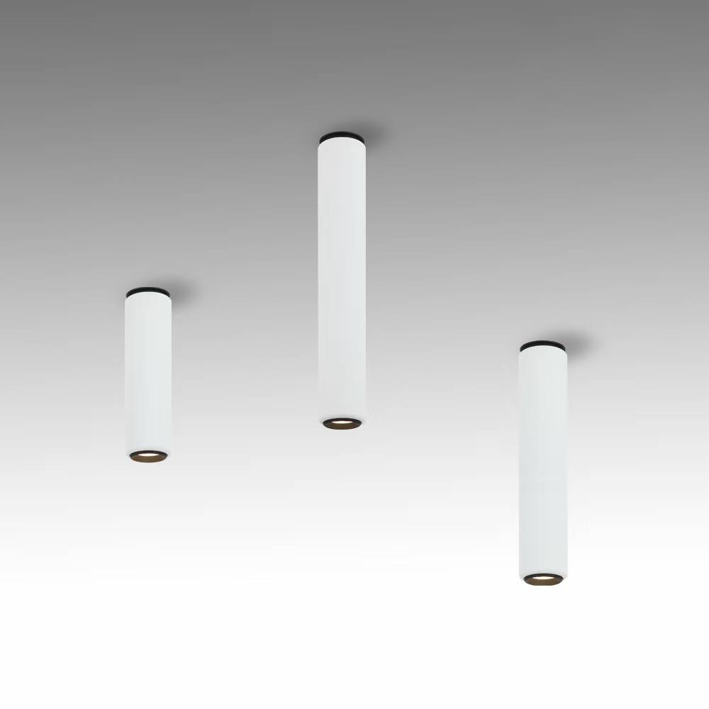 CYFJL-016-C-1